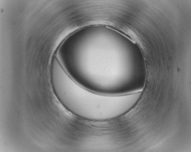 X0000088841140200706071144