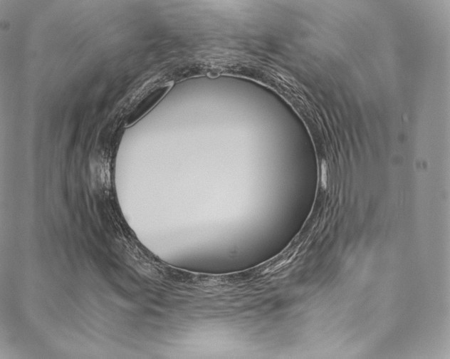 X0000088841155200706071143
