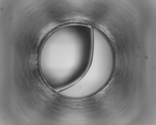 X0000088841164200706071143