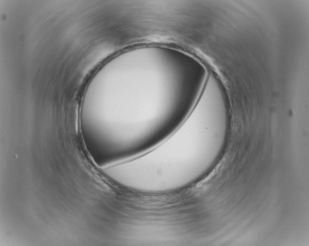 X0000088841171200706071143