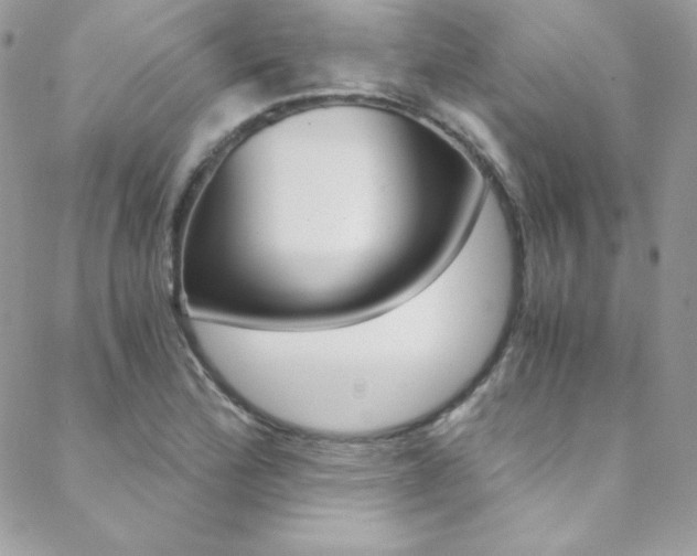 X0000088841172200706071143