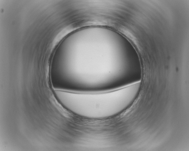 X0000088841179200706071143