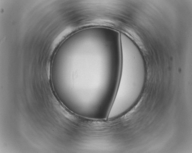 X0000088841180200706071143