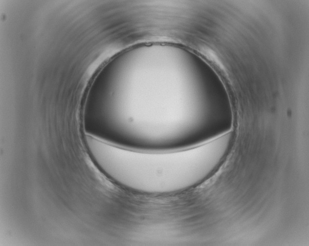X0000088841181200706071143