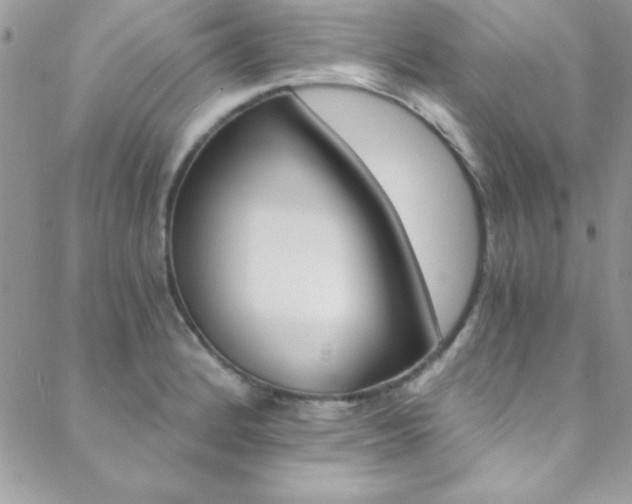 X0000088841184200706071143