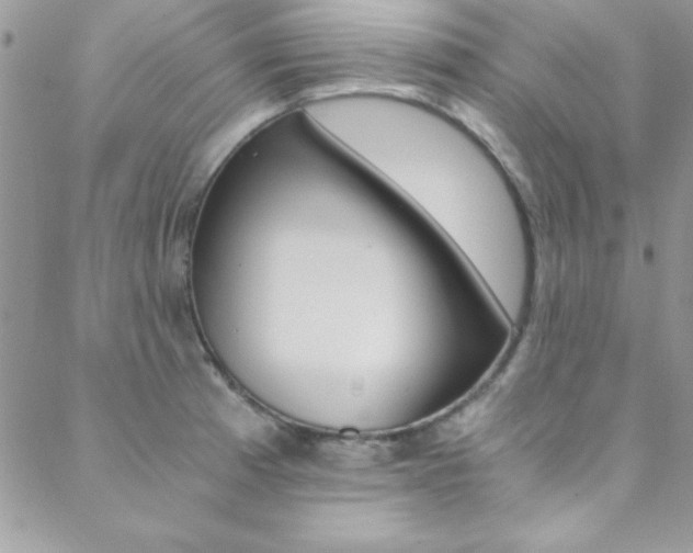 X0000088841185200706071143