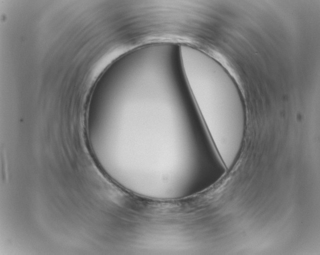 X0000088841187200706071143