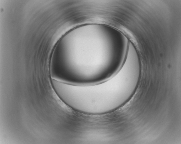 X0000088841192200706071143