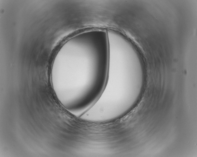 X0000088841214200706071142