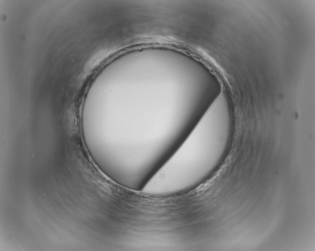 X0000088841215200706071142