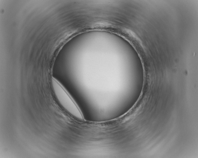 X0000088841217200706071142