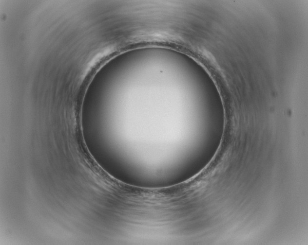 X0000088841218200706071142