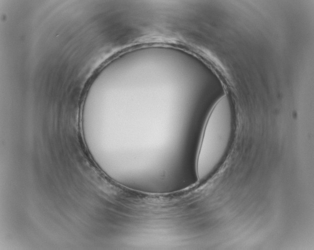 X0000088841220200706071142