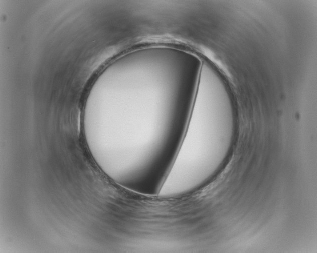X0000088841221200706071142