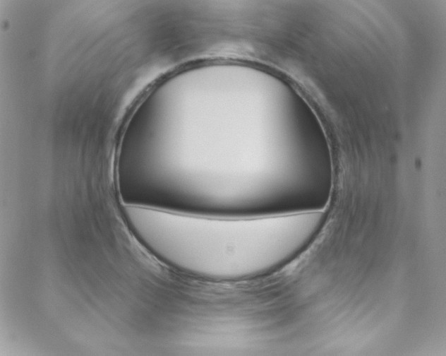 X0000088841224200706071142