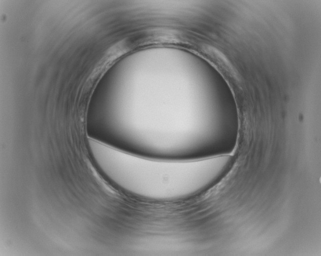 X0000088841225200706071142
