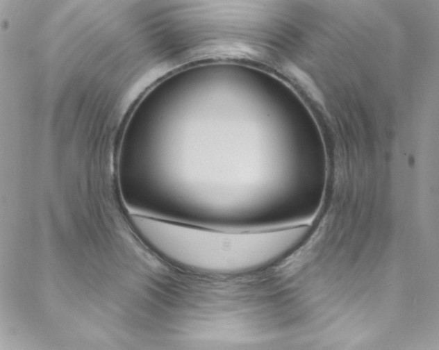 X0000088841226200706071142