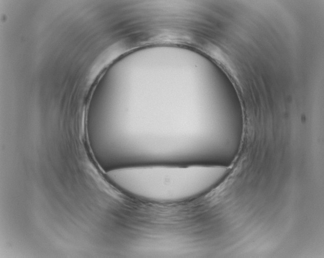 X0000088841227200706071142