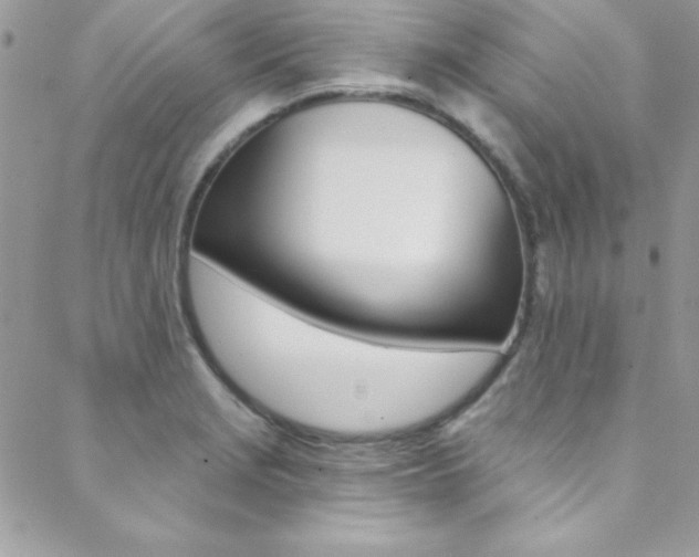 X0000088841229200706071142