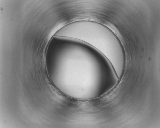 X0000088841242200706071142