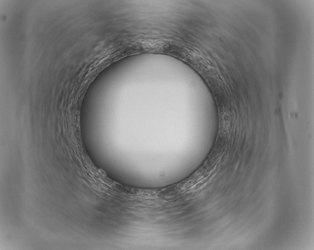 X0000088841249200706071142