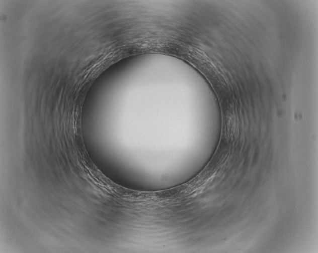 X0000088841250200706071142