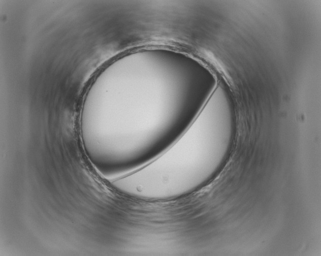 X0000088841260200706071142
