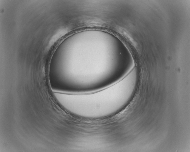 X0000088841261200706071142