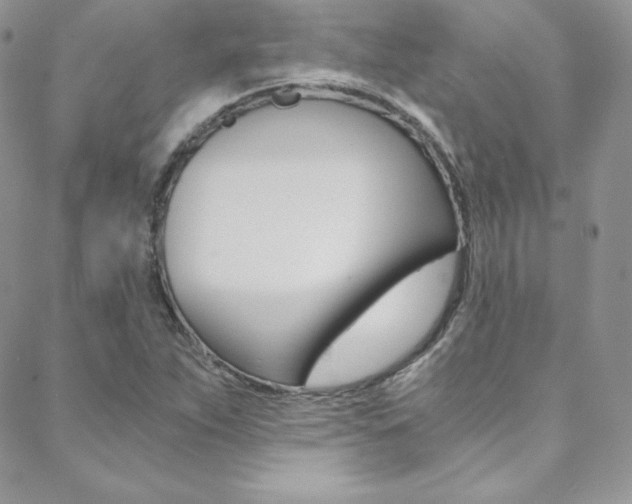 X0000088841263200706071142