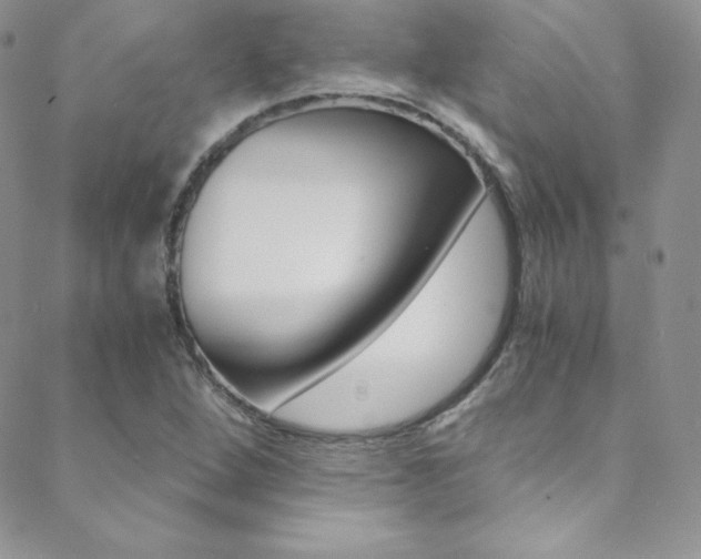 X0000088841264200706071142