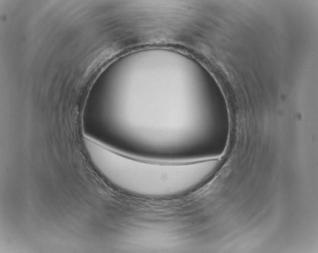 X0000088841265200706071142