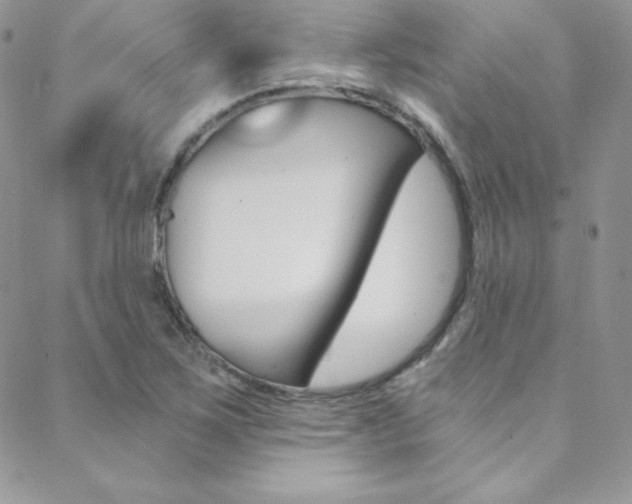 X0000088841267200706071142