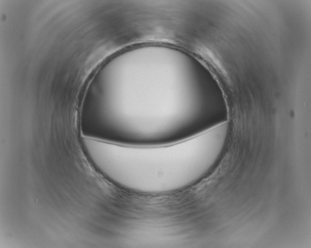 X0000088841268200706071141