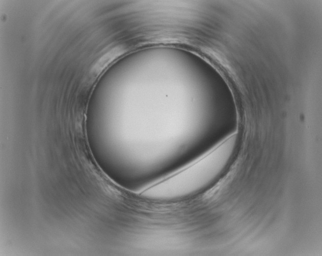 X0000088841273200706071141