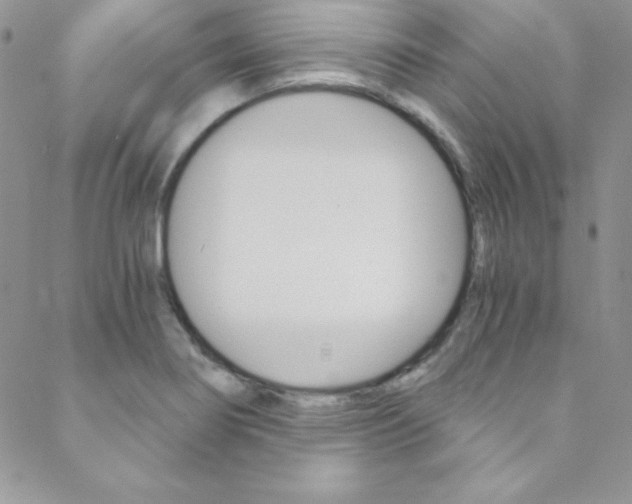 X0000088841274200706071141