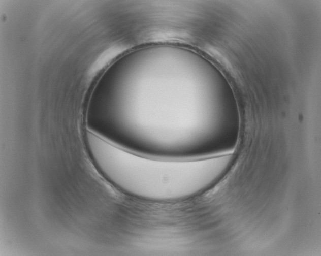 X0000088841277200706071141