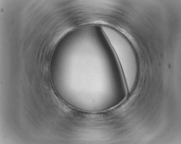 X0000088841281200706071141