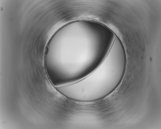 X0000088841296200706071141