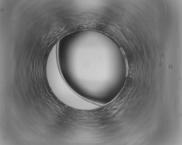X0000088841298200706071140