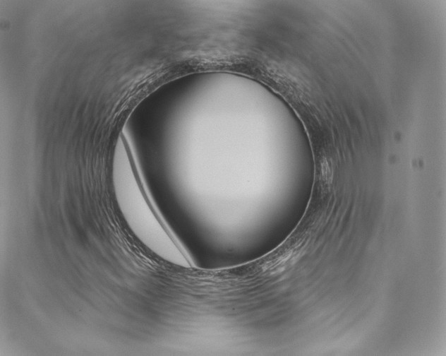 X0000088841300200706071140