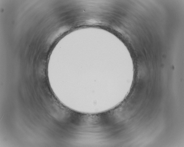 X0000088841314200706071141