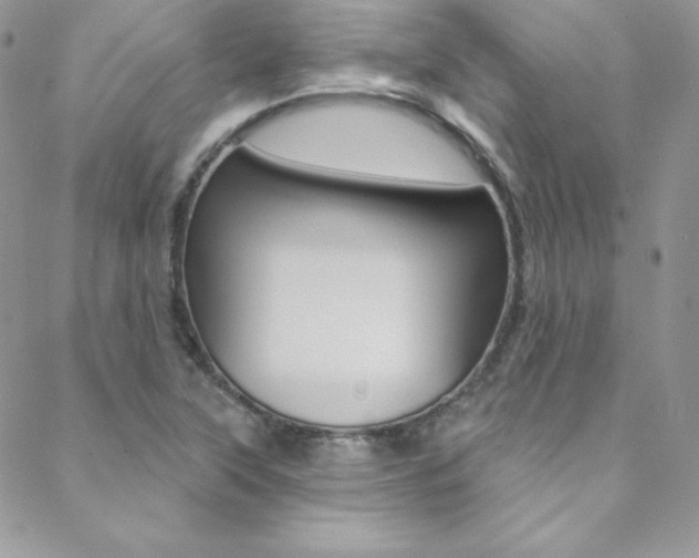 X0000088841315200706071141