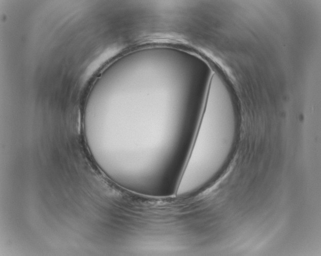 X0000088841317200706071141