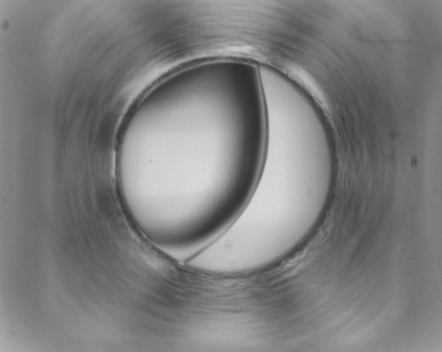 X0000088841324200706071141