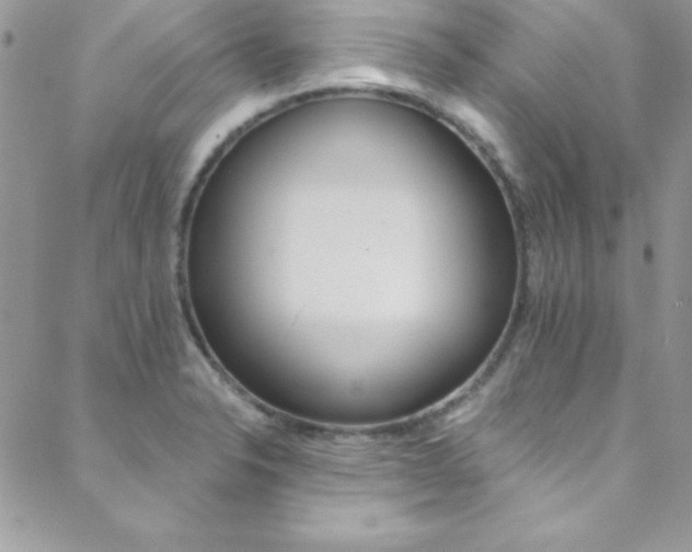 X0000088841326200706071141