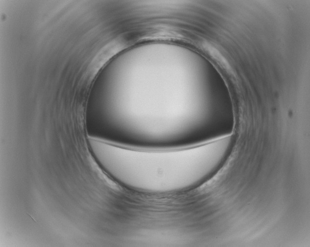 X0000088841329200706071141