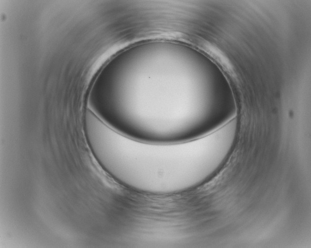 X0000088841332200706071141