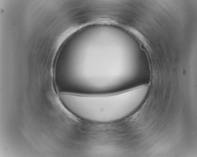 X0000088841335200706071141