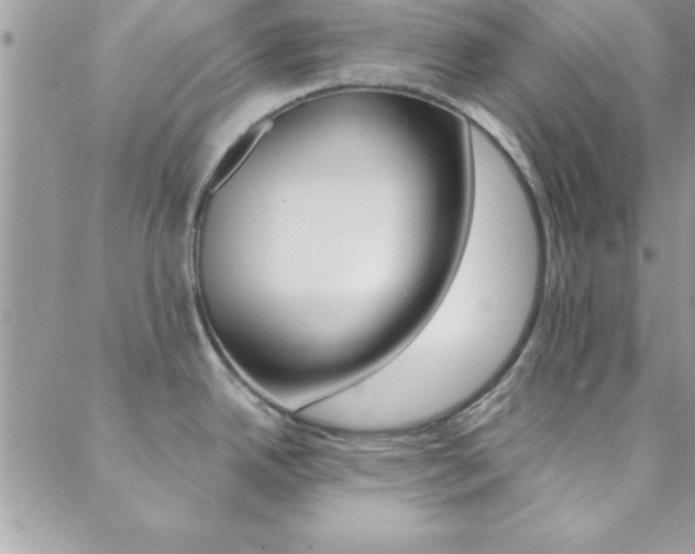 X0000088841342200706071141