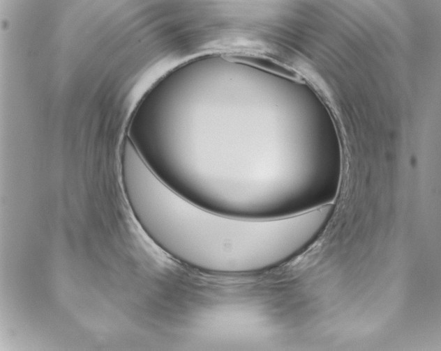X0000088841344200706071141